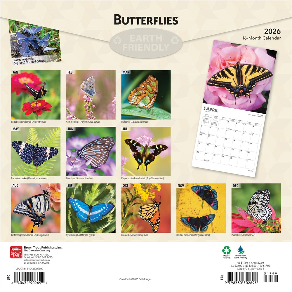 Butterflies | 2026 12 x 24 Inch (Hanging) Monthly Square Wall Calendar