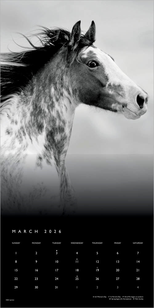 The BrownTrout Portrait Series: The Noble Horse | 2026 12 x 24 Inch (Hanging) Monthly Square Wall Calendar