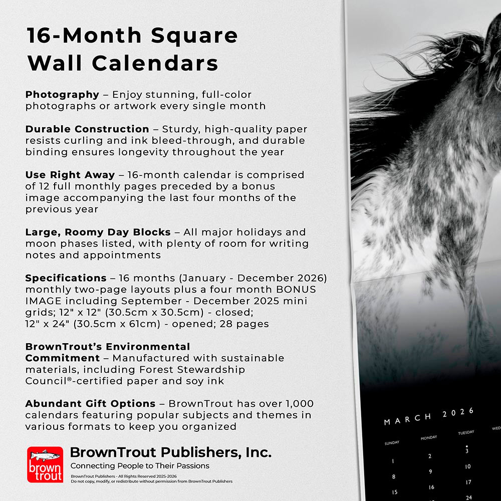The BrownTrout Portrait Series: The Noble Horse | 2026 12 x 24 Inch (Hanging) Monthly Square Wall Calendar