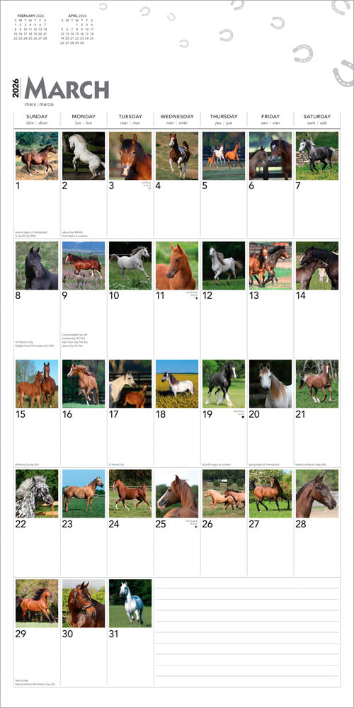 365 Days of Horses | 2026 12 x 24 Inch (Hanging) Monthly Square Wall Calendar