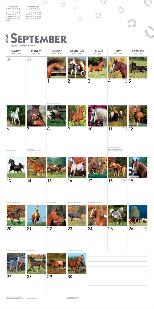 365 Days of Horses | 2026 12 x 24 Inch (Hanging) Monthly Square Wall Calendar
