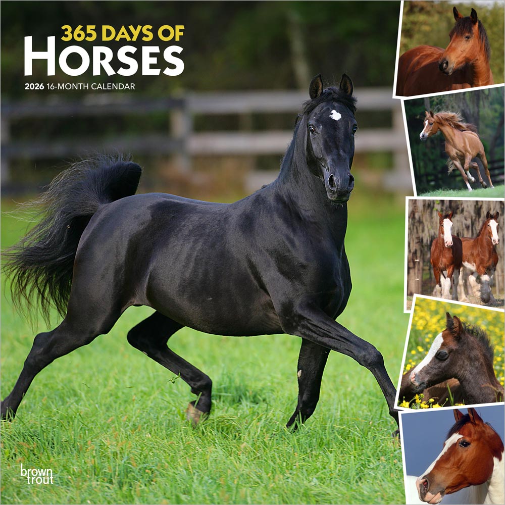 365 Days of Horses | 2026 12 x 24 Inch (Hanging) Monthly Square Wall Calendar