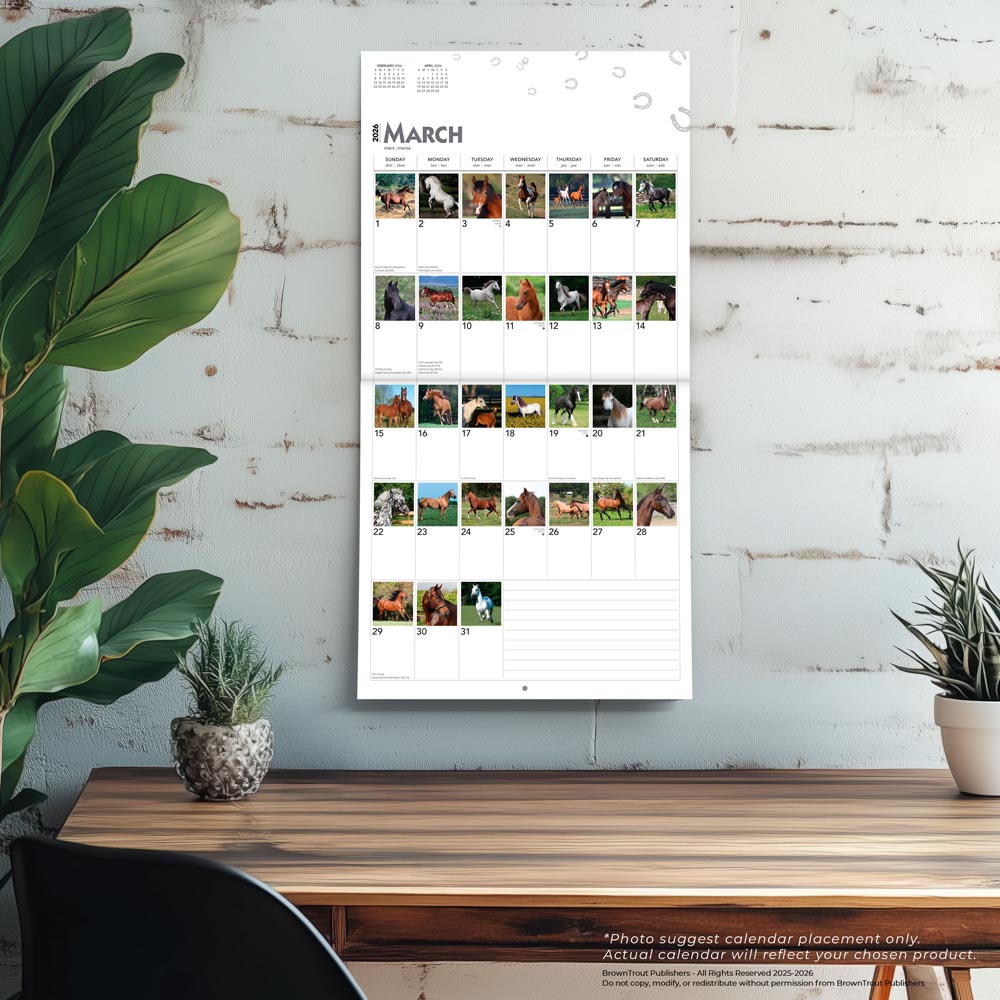 365 Days of Horses | 2026 12 x 24 Inch (Hanging) Monthly Square Wall Calendar