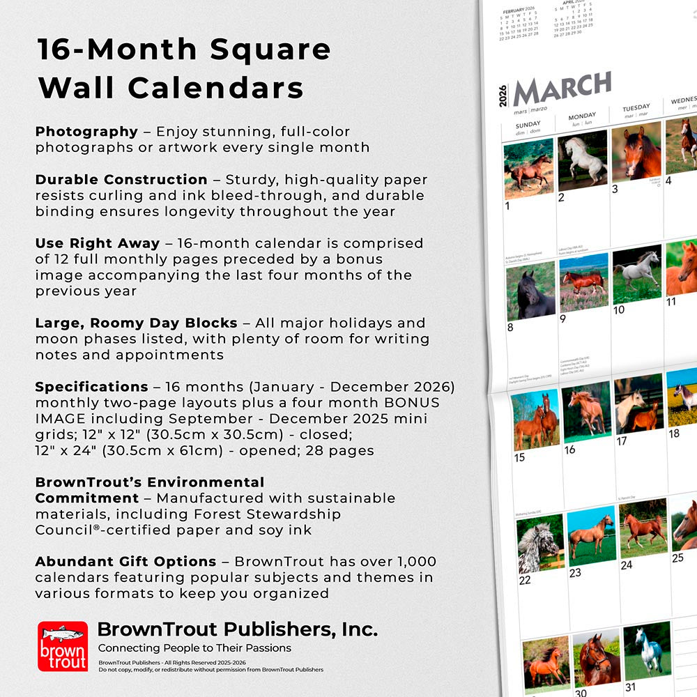 365 Days of Horses | 2026 12 x 24 Inch (Hanging) Monthly Square Wall Calendar