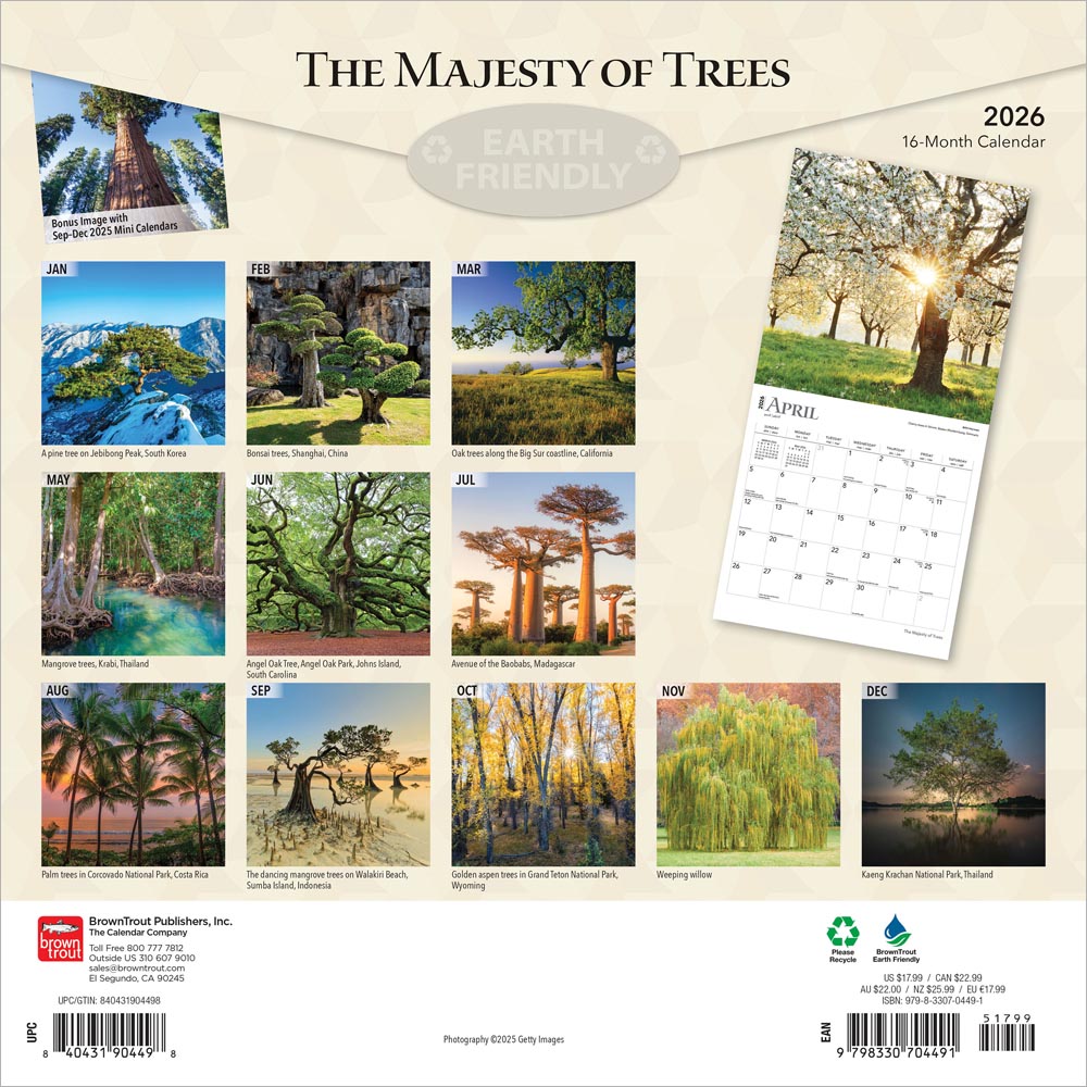 The Majesty of Trees | 2026 12 x 24 Inch (Hanging) Monthly Square Wall Calendar
