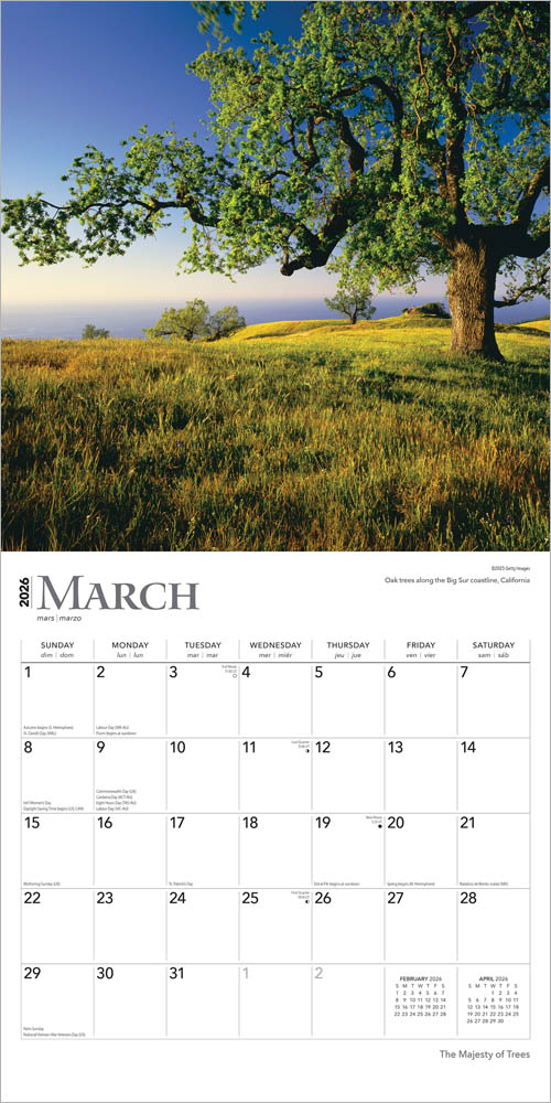 The Majesty of Trees | 2026 12 x 24 Inch (Hanging) Monthly Square Wall Calendar
