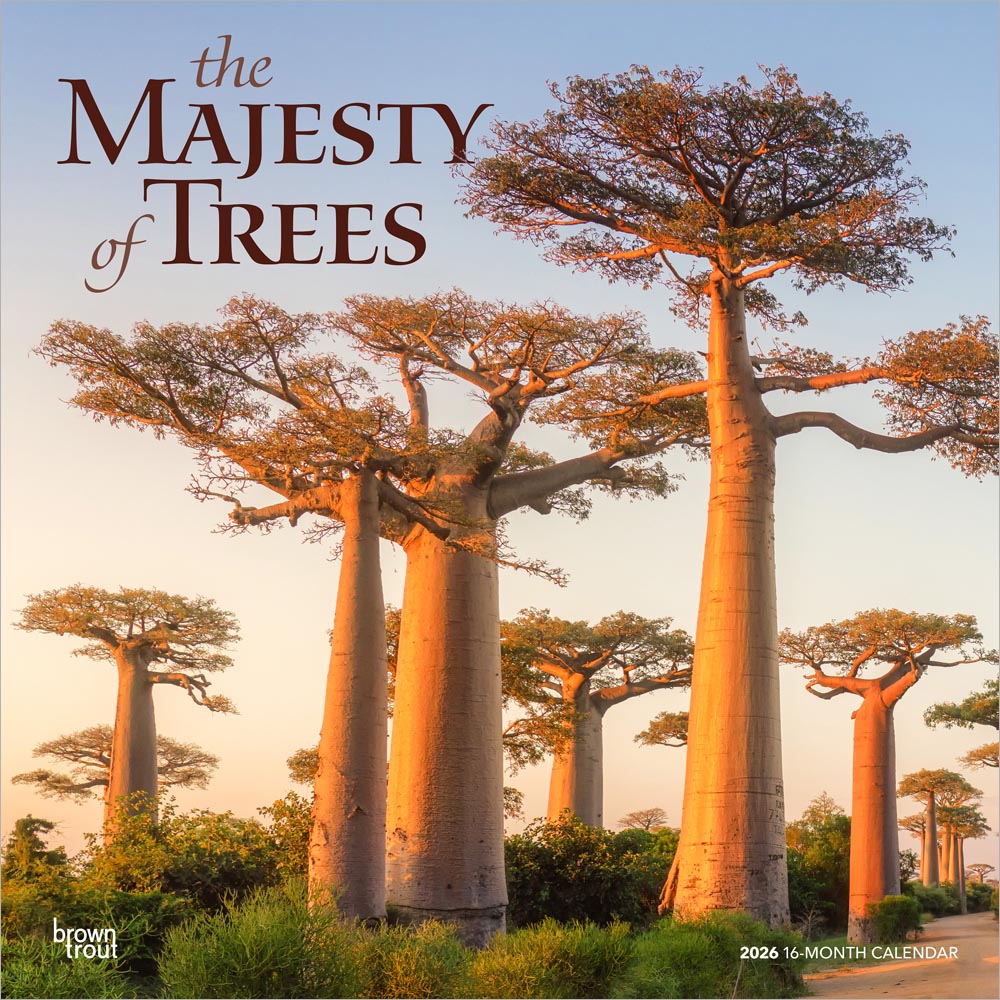 The Majesty of Trees | 2026 12 x 24 Inch (Hanging) Monthly Square Wall Calendar