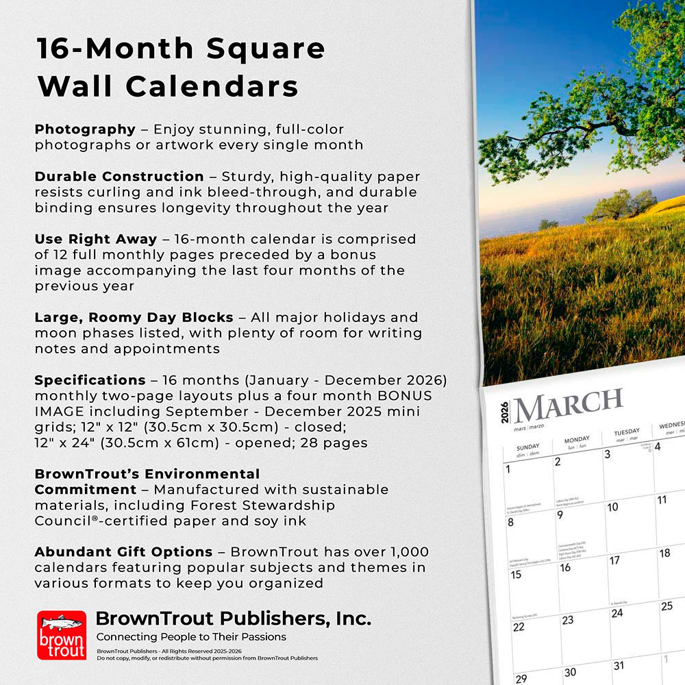 The Majesty of Trees | 2026 12 x 24 Inch (Hanging) Monthly Square Wall Calendar