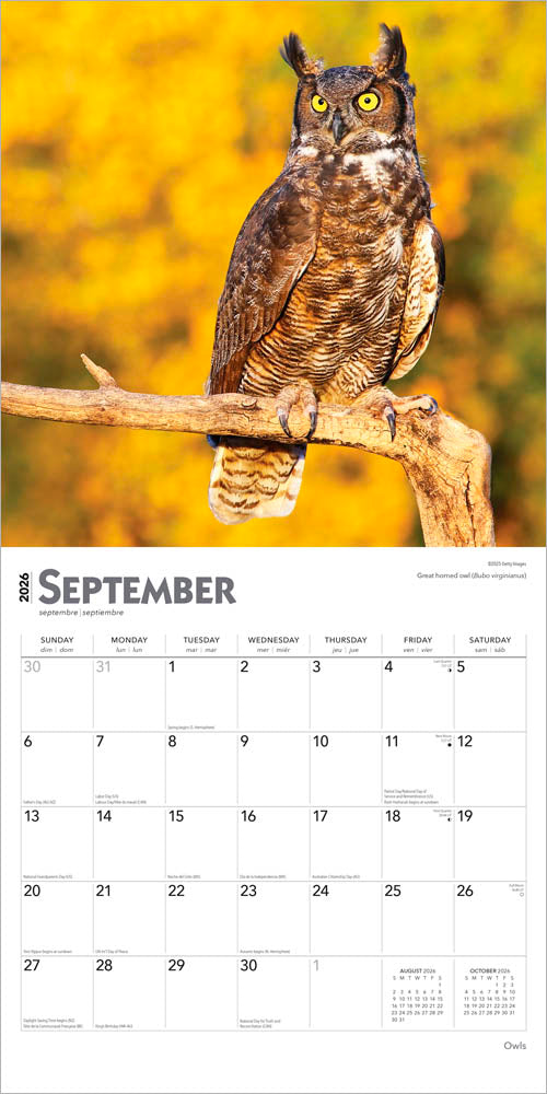Owls | 2026 12 x 24 Inch (Hanging) Monthly Square Wall Calendar