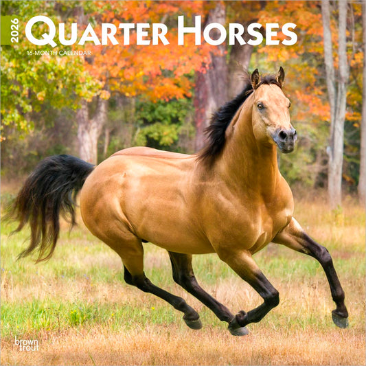 Quarter Horses | 2026 12 x 24 Inch (Hanging) Monthly Square Wall Calendar