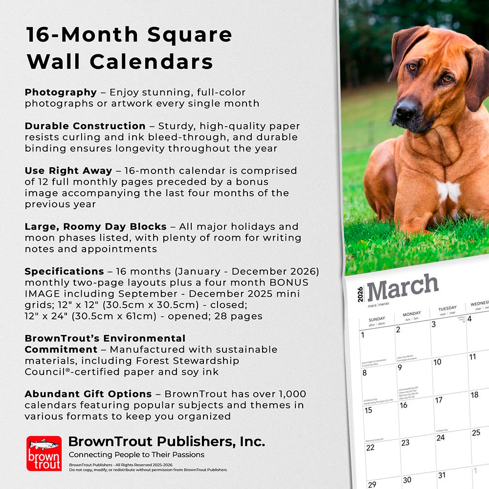 Rhodesian Ridgebacks | 2026 12 x 24 Inch (Hanging) Monthly Square Wall Calendar