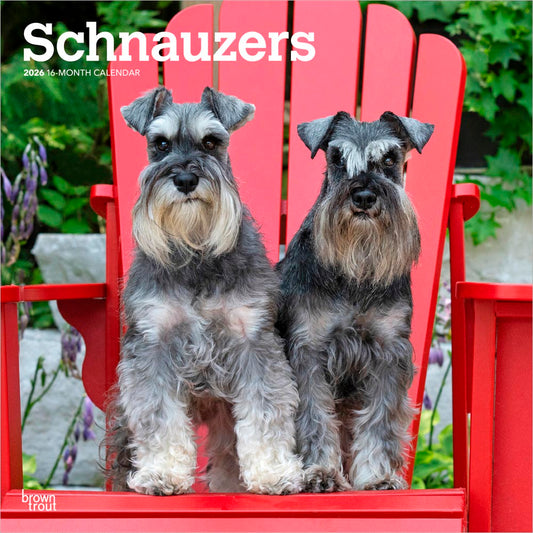 Schnauzers | 2026 12 x 24 Inch (Hanging) Monthly Square Wall Calendar