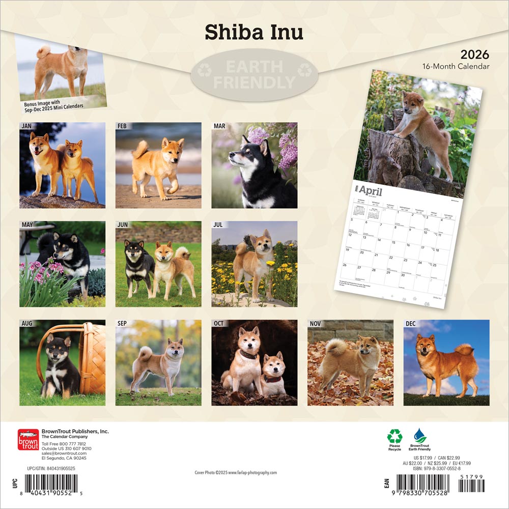 Shiba Inu | 2026 12 x 24 Inch (Hanging) Monthly Square Wall Calendar