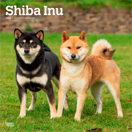 Shiba Inu | 2026 12 x 24 Inch (Hanging) Monthly Square Wall Calendar