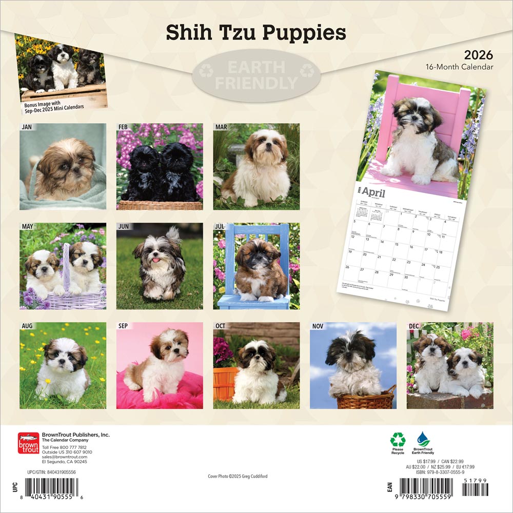Shih Tzu Puppies | 2026 12 x 24 Inch (Hanging) Monthly Square Wall Calendar