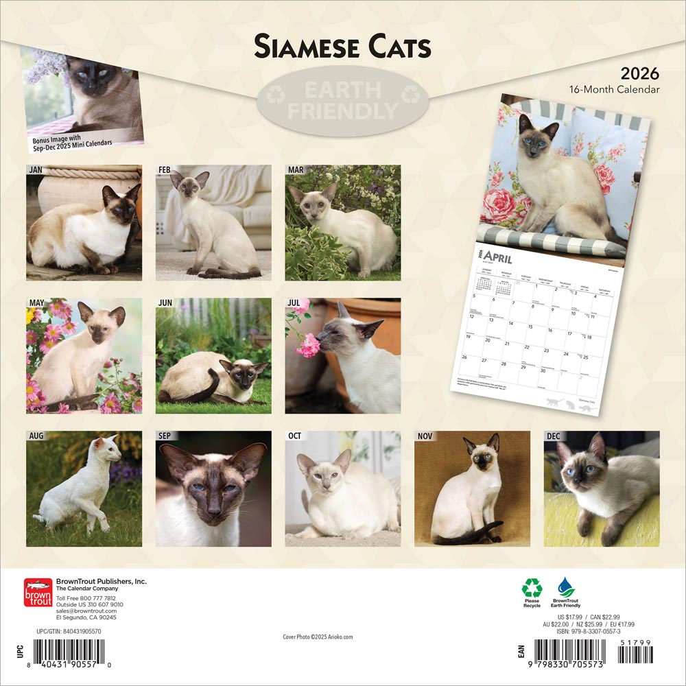 Siamese Cats | 2026 12 x 24 Inch (Hanging) Monthly Square Wall Calendar