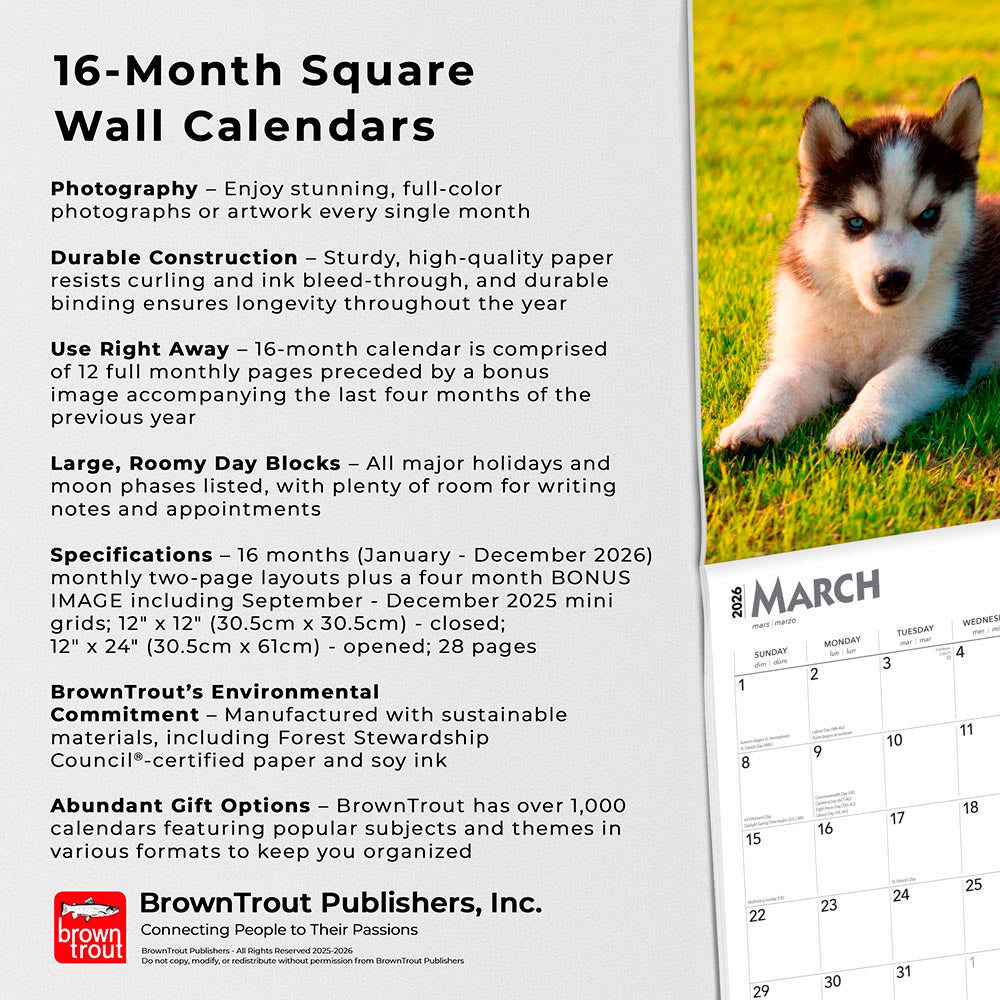 Siberian Husky Puppies | 2026 12 x 24 Inch (Hanging) Monthly Square Wall Calendar