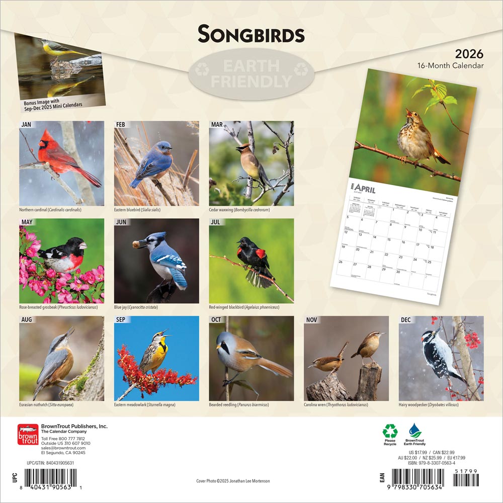 Songbirds | 2026 12 x 24 Inch (Hanging) Monthly Square Wall Calendar | Foil Stamped Cover