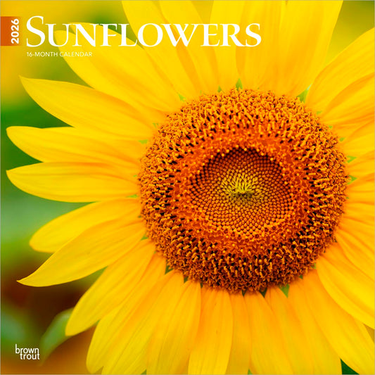 Sunflowers | 2026 12 x 24 Inch (Hanging) Monthly Square Wall Calendar