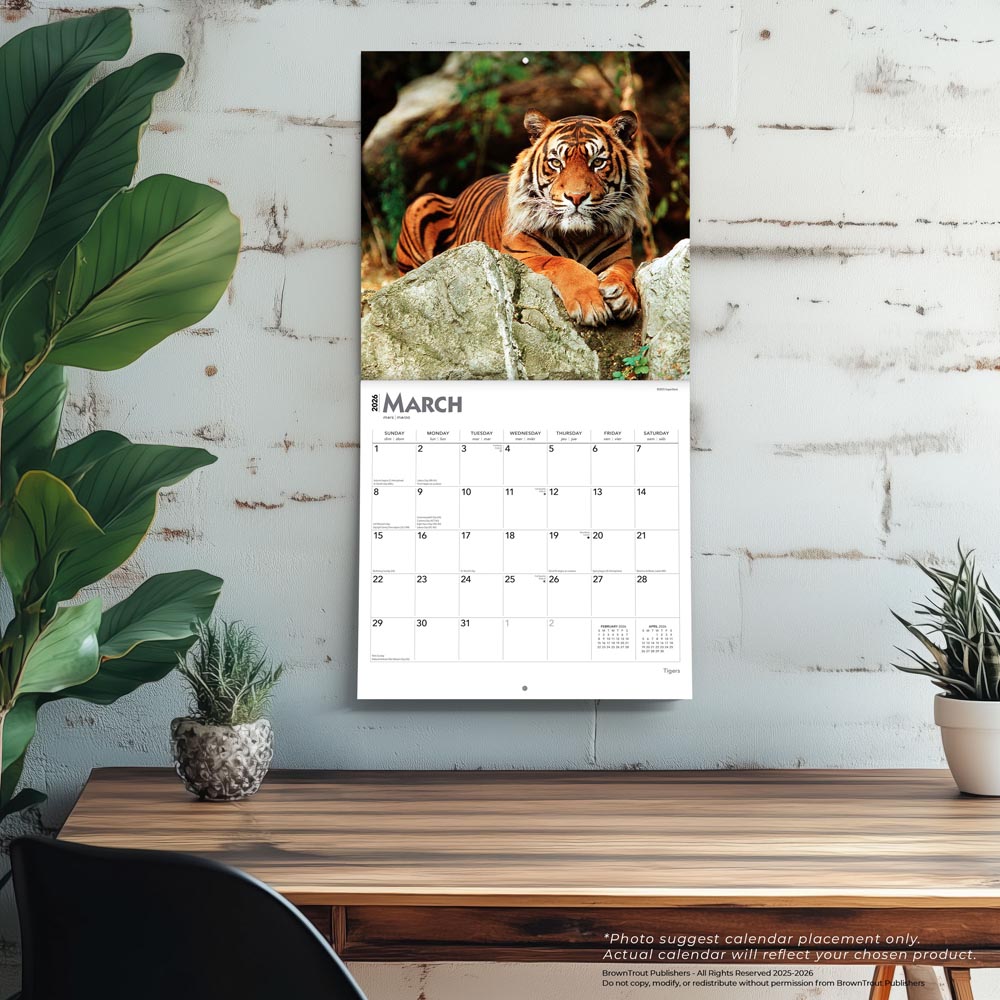 Tigers | 2026 12 x 24 Inch (Hanging) Monthly Square Wall Calendar