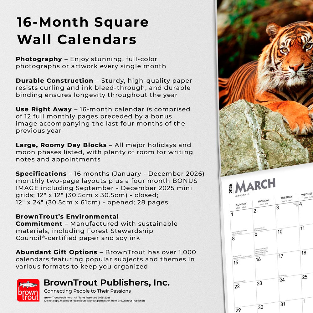 Tigers | 2026 12 x 24 Inch (Hanging) Monthly Square Wall Calendar