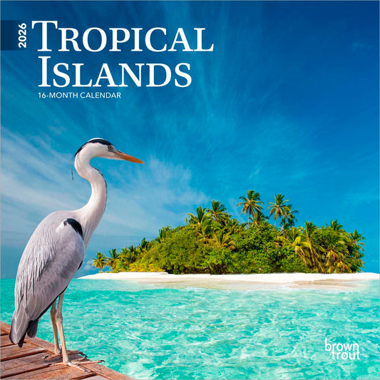 Tropical Islands | 2026 7 x 14 Inch (Hanging) Monthly Mini Wall Calendar