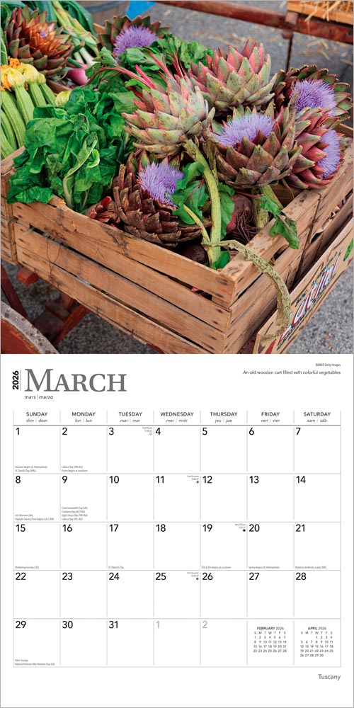 Tuscany | 2026 12 x 24 Inch (Hanging) Monthly Square Wall Calendar