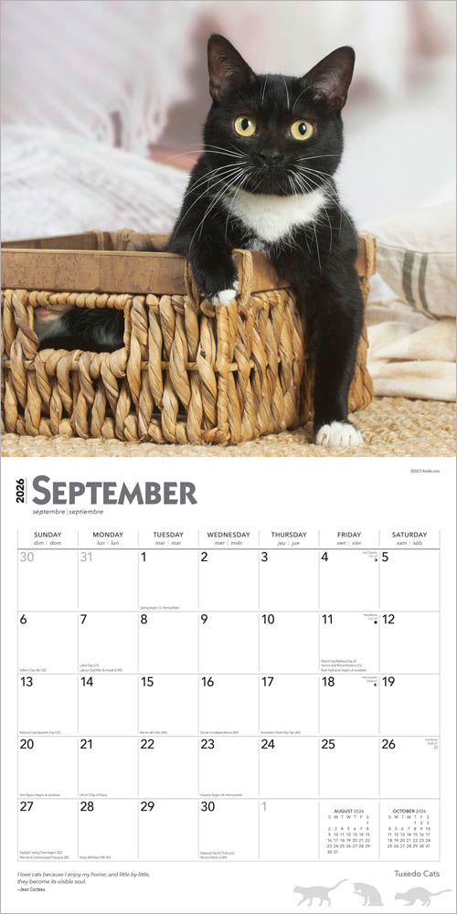 Tuxedo Cats | 2026 12 x 24 Inch (Hanging) Monthly Square Wall Calendar