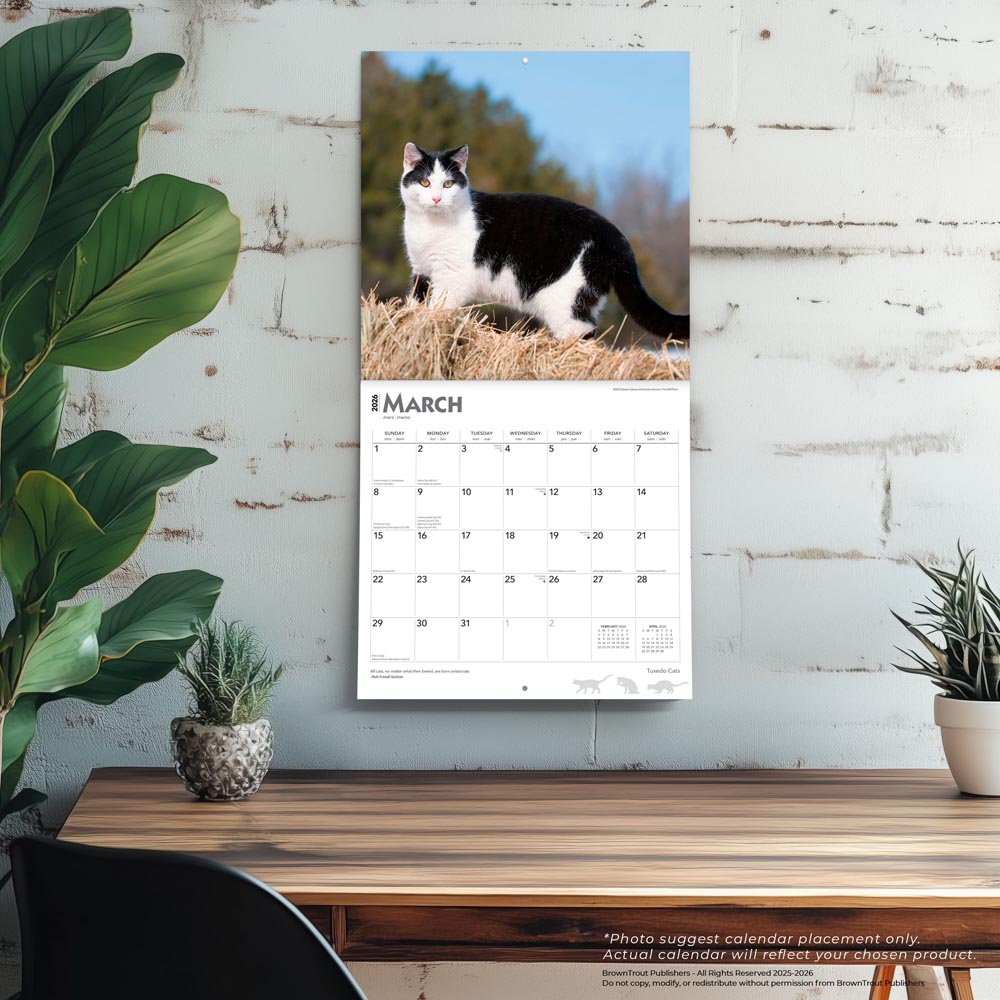 Tuxedo Cats | 2026 12 x 24 Inch (Hanging) Monthly Square Wall Calendar
