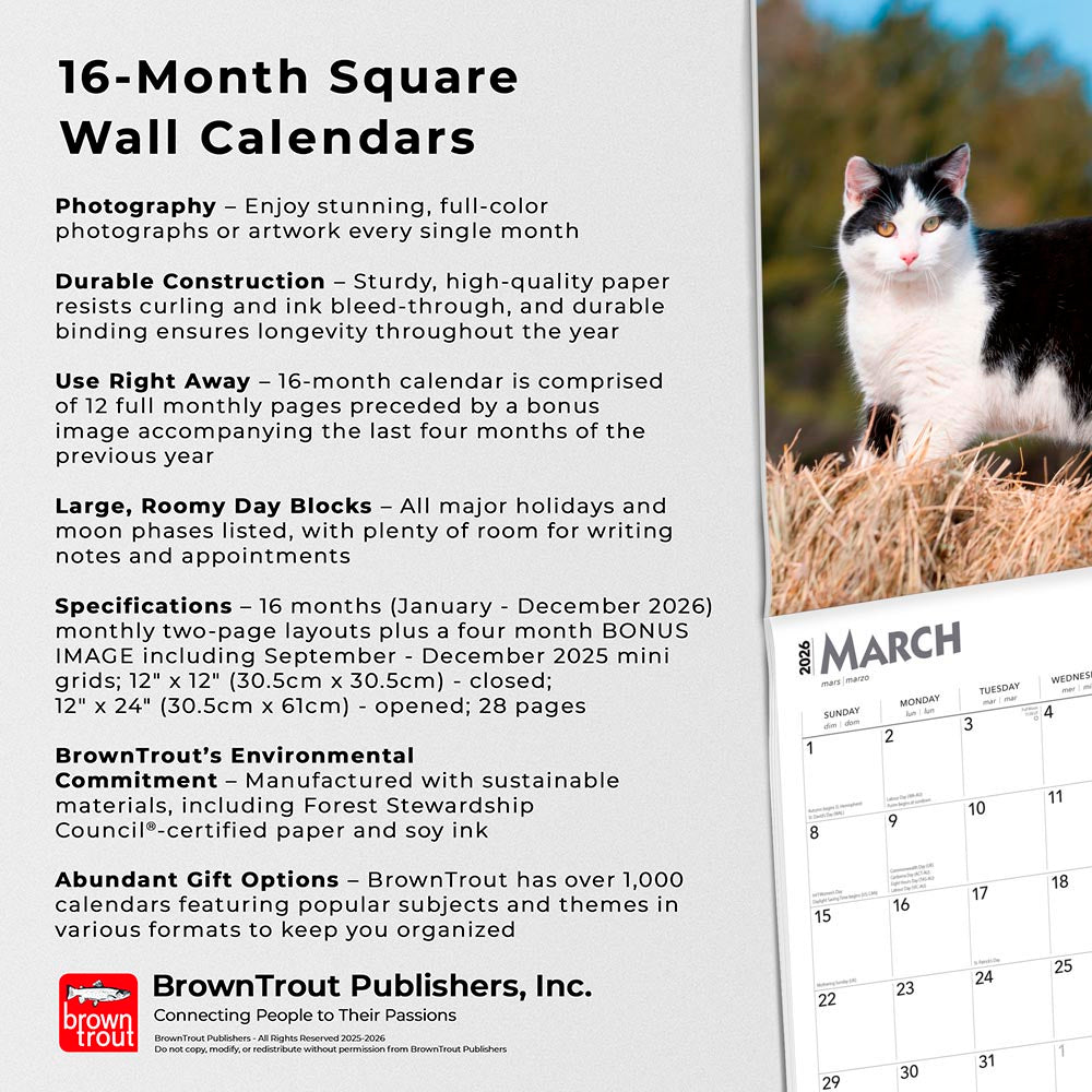 Tuxedo Cats | 2026 12 x 24 Inch (Hanging) Monthly Square Wall Calendar