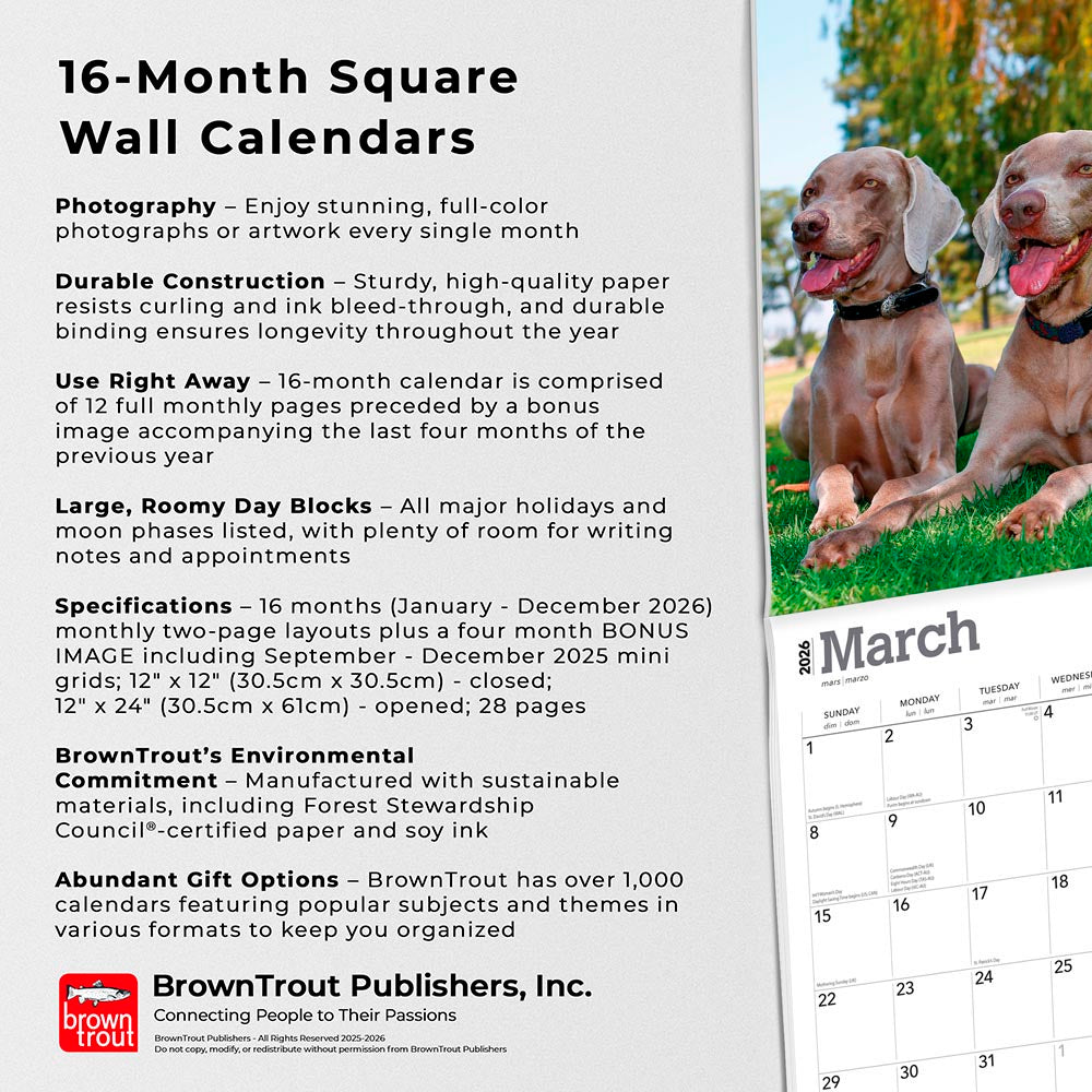 Weimaraners | 2026 12 x 24 Inch (Hanging) Monthly Square Wall Calendar