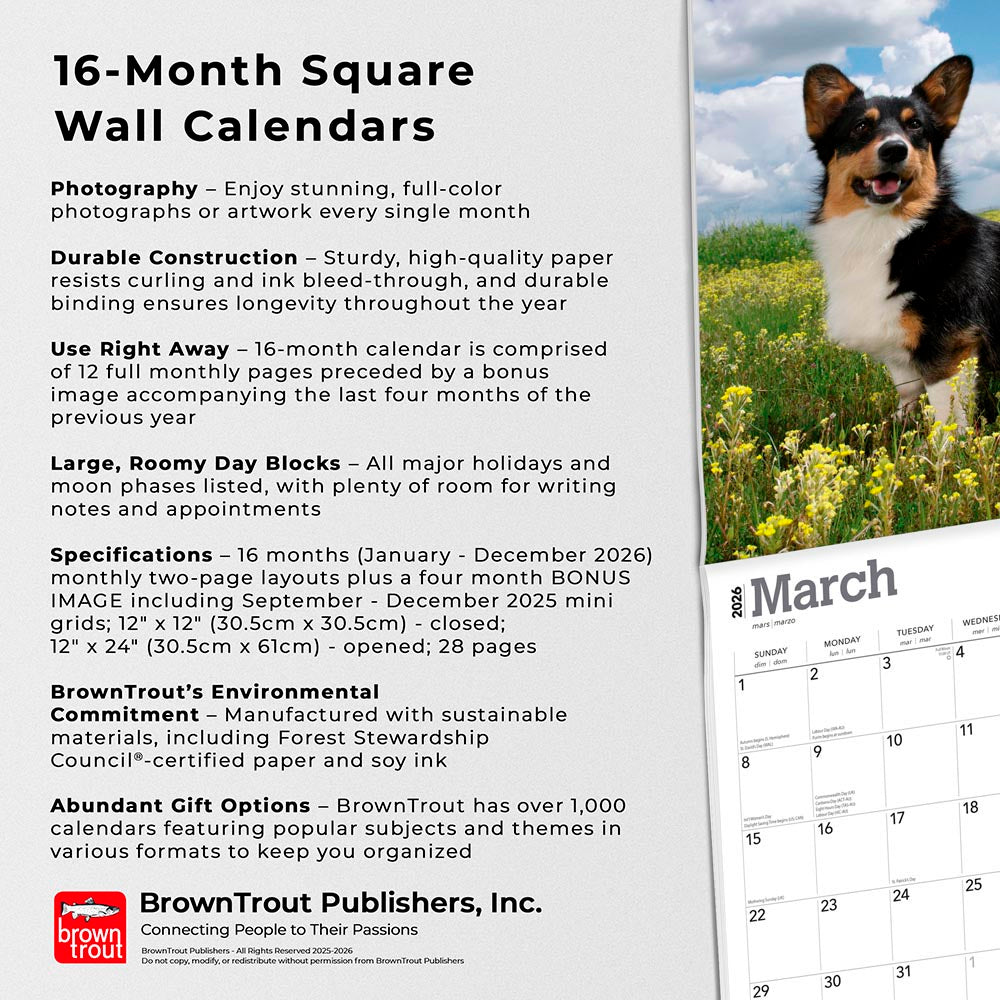 Welsh Corgis | 2026 12 x 24 Inch (Hanging) Monthly Square Wall Calendar