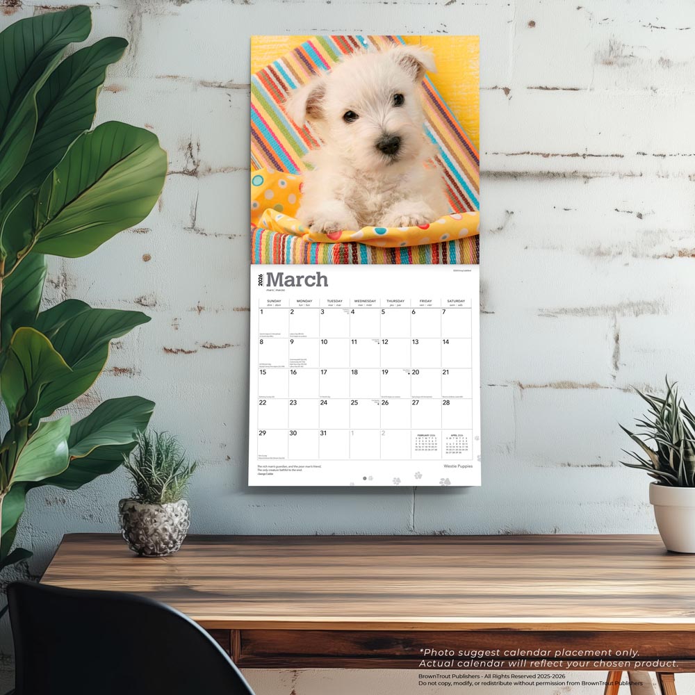 West Highland White Terrier Puppies | 2026 12 x 24 Inch (Hanging) Monthly Square Wall Calendar
