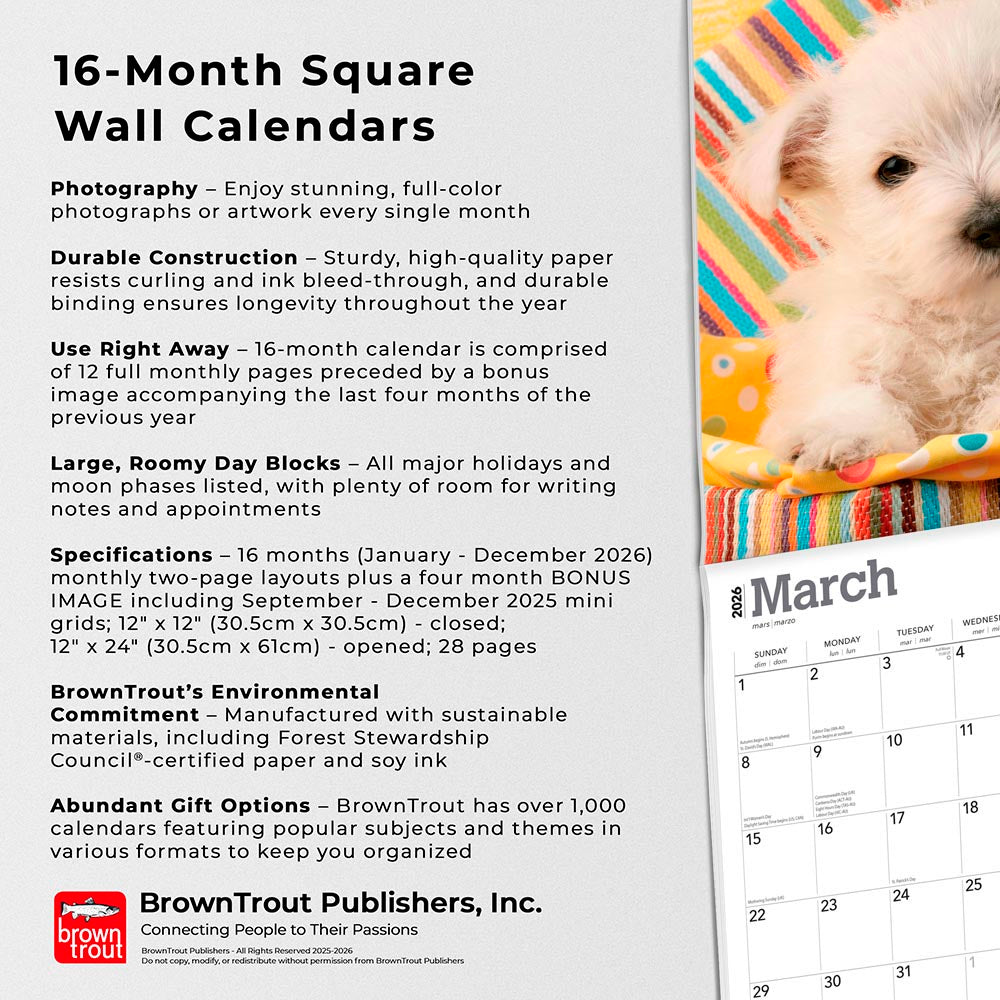 West Highland White Terrier Puppies | 2026 12 x 24 Inch (Hanging) Monthly Square Wall Calendar