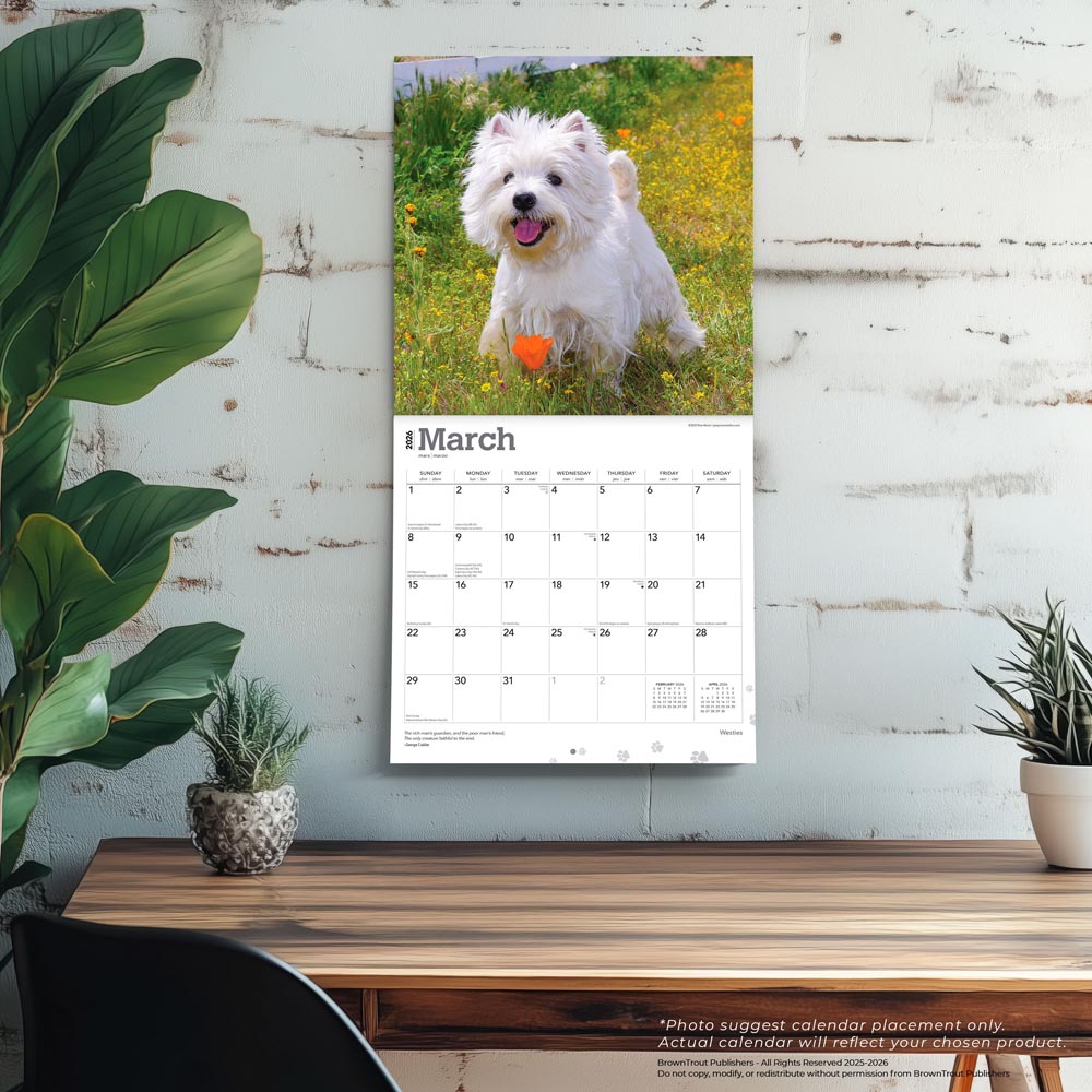 West Highland White Terriers | 2026 12 x 24 Inch (Hanging) Monthly Square Wall Calendar