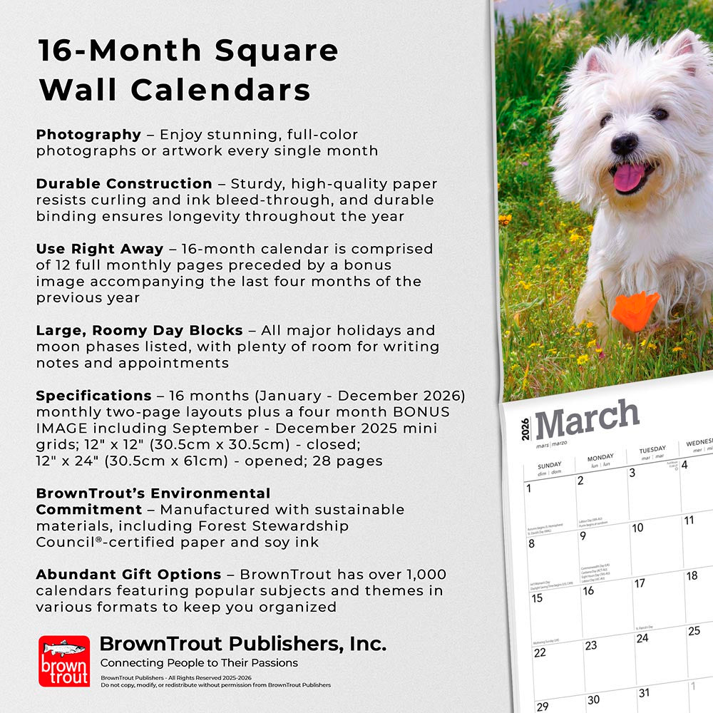 West Highland White Terriers | 2026 12 x 24 Inch (Hanging) Monthly Square Wall Calendar