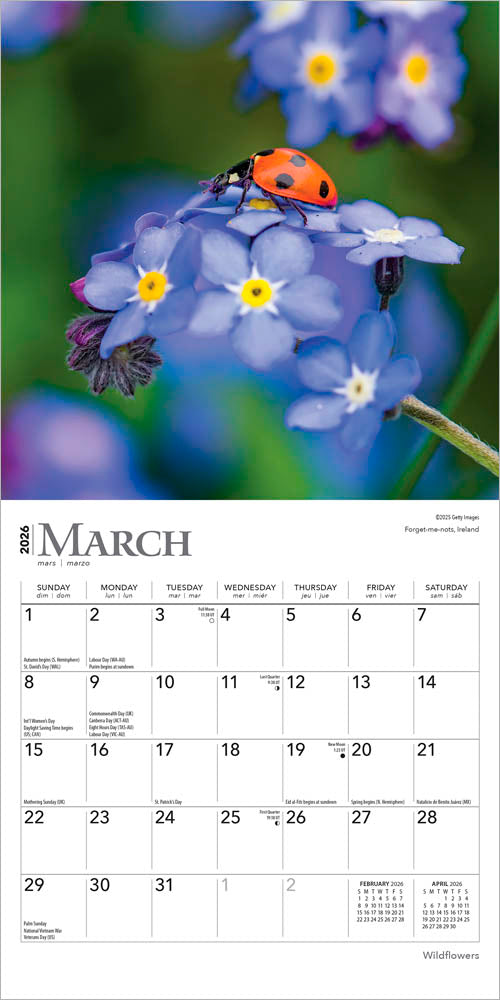 Wildflowers | 2026 7 x 14 Inch (Hanging) Monthly Mini Wall Calendar