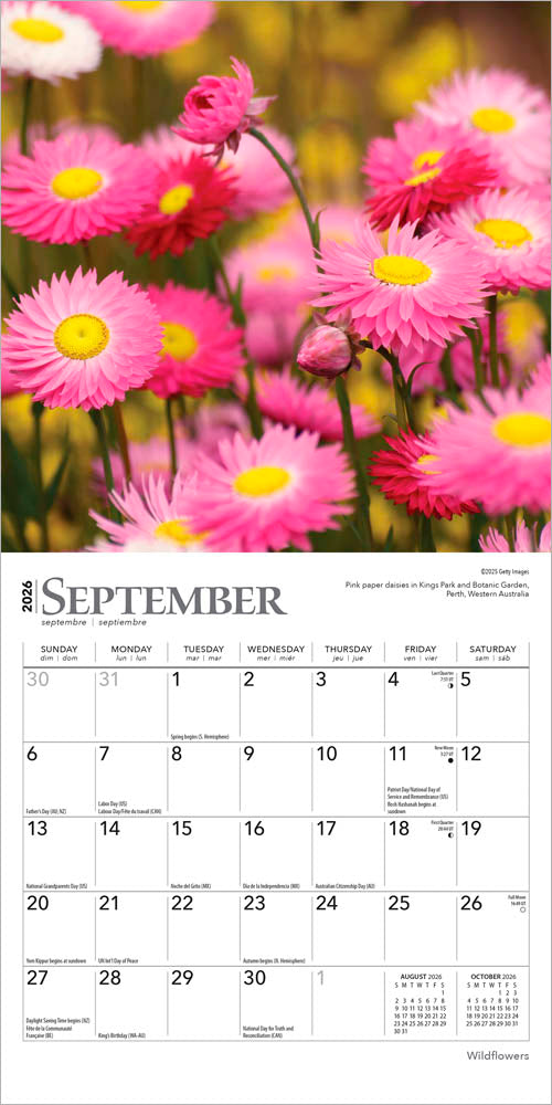 Wildflowers | 2026 7 x 14 Inch (Hanging) Monthly Mini Wall Calendar