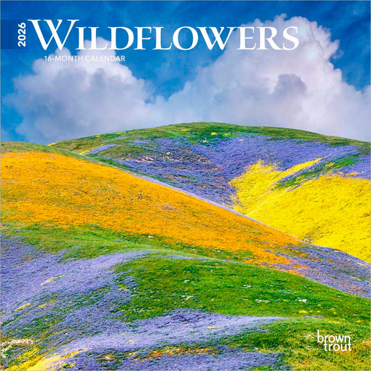 Wildflowers | 2026 7 x 14 Inch (Hanging) Monthly Mini Wall Calendar