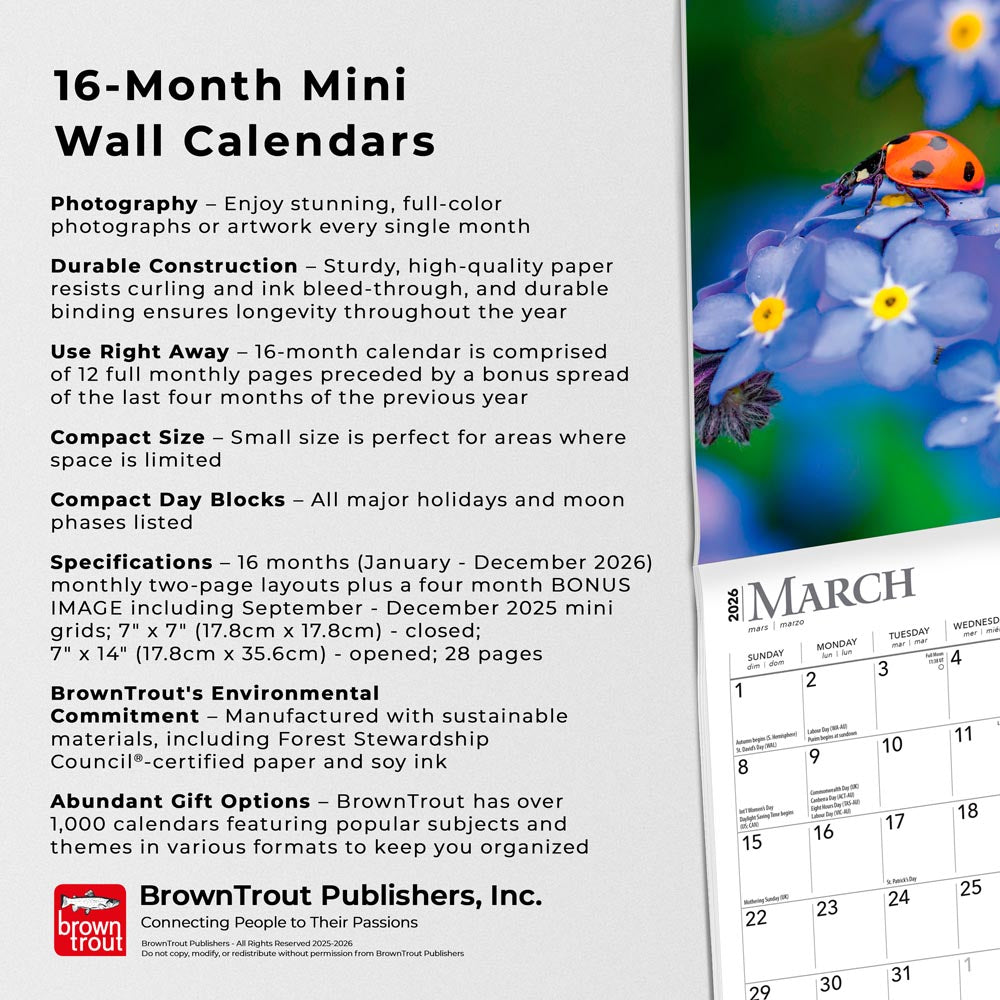 Wildflowers | 2026 7 x 14 Inch (Hanging) Monthly Mini Wall Calendar