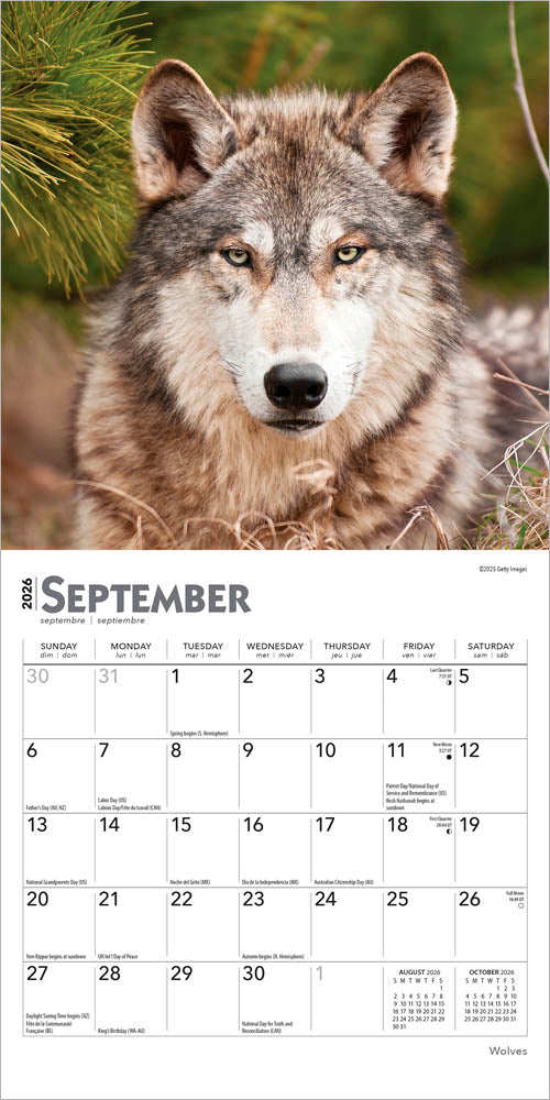 Wolves | 2026 7 x 14 Inch (Hanging) Monthly Mini Wall Calendar