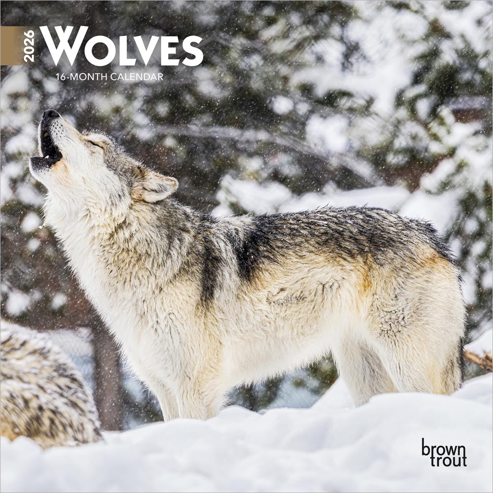 Wolves | 2026 7 x 14 Inch (Hanging) Monthly Mini Wall Calendar
