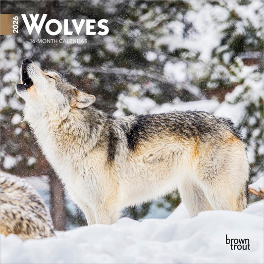 Wolves | 2026 7 x 14 Inch (Hanging) Monthly Mini Wall Calendar