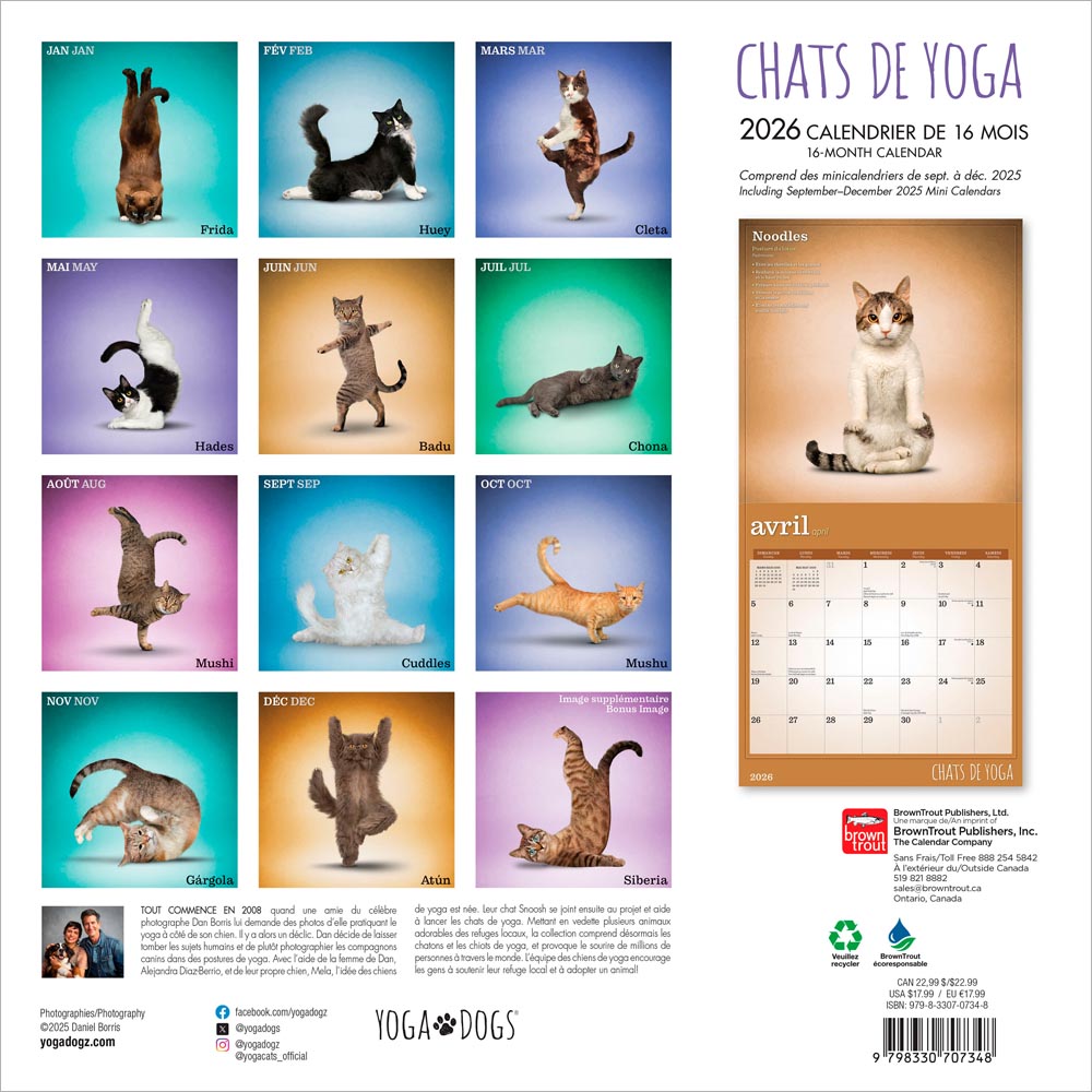 Chats de Yoga OFFICIEL | 2026 12 x 24 Inch (Hanging) Monthly Square Wall Calendar | French Language