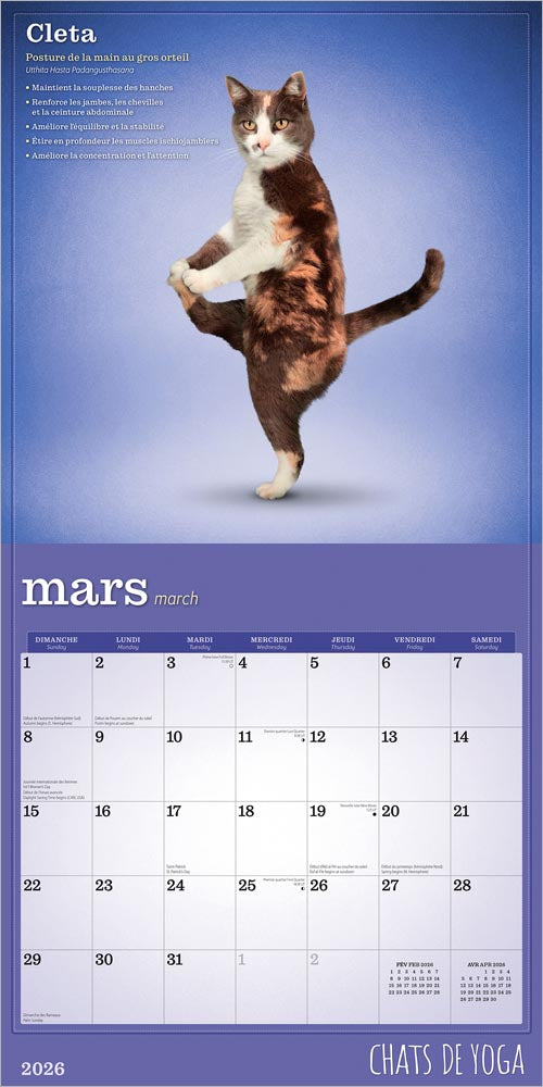 Chats de Yoga OFFICIEL | 2026 12 x 24 Inch (Hanging) Monthly Square Wall Calendar | French Language