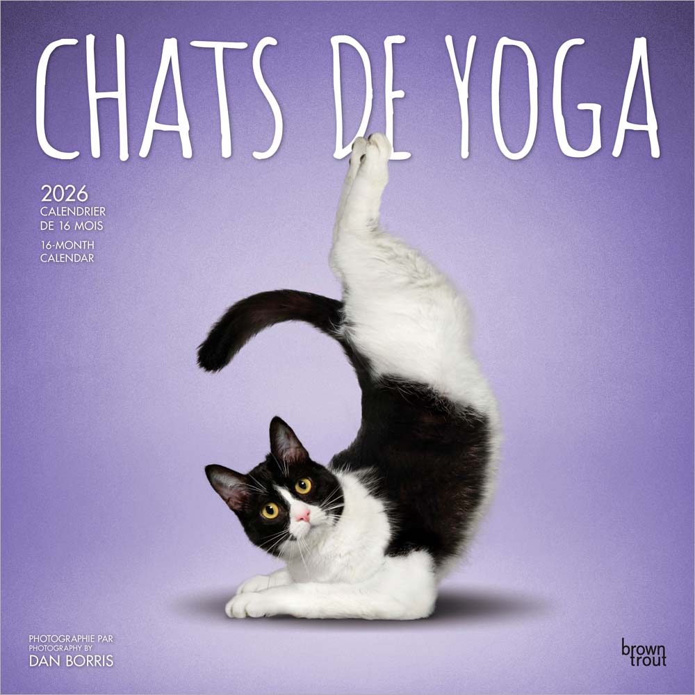 Chats de Yoga OFFICIEL | 2026 12 x 24 Inch (Hanging) Monthly Square Wall Calendar | French Language