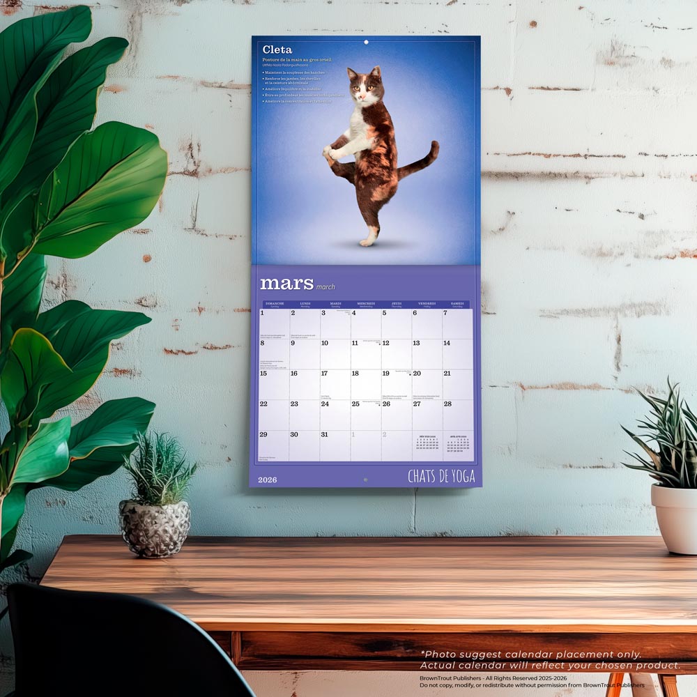 Chats de Yoga OFFICIEL | 2026 12 x 24 Inch (Hanging) Monthly Square Wall Calendar | French Language