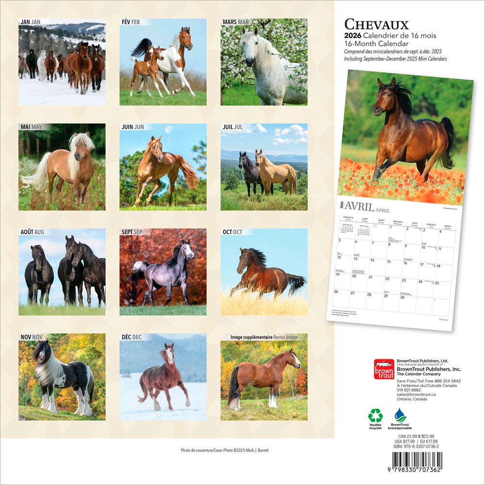 Chevaux | 2026 12 x 24 Inch (Hanging) Monthly Square Wall Calendar | French Language