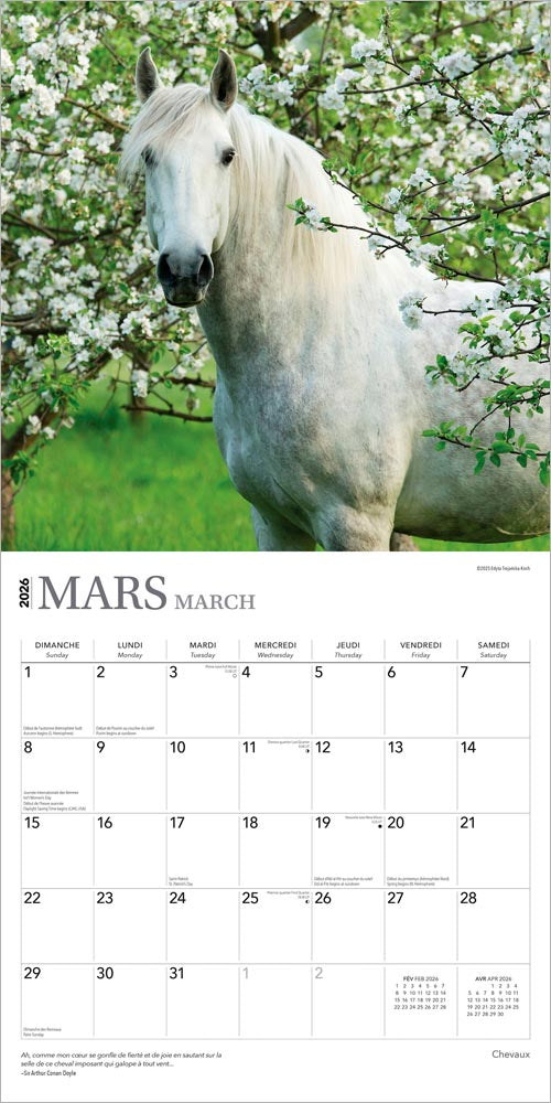Chevaux | 2026 12 x 24 Inch (Hanging) Monthly Square Wall Calendar | French Language