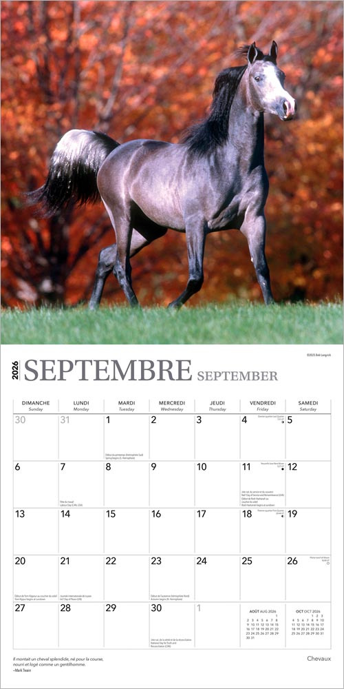 Chevaux | 2026 12 x 24 Inch (Hanging) Monthly Square Wall Calendar | French Language